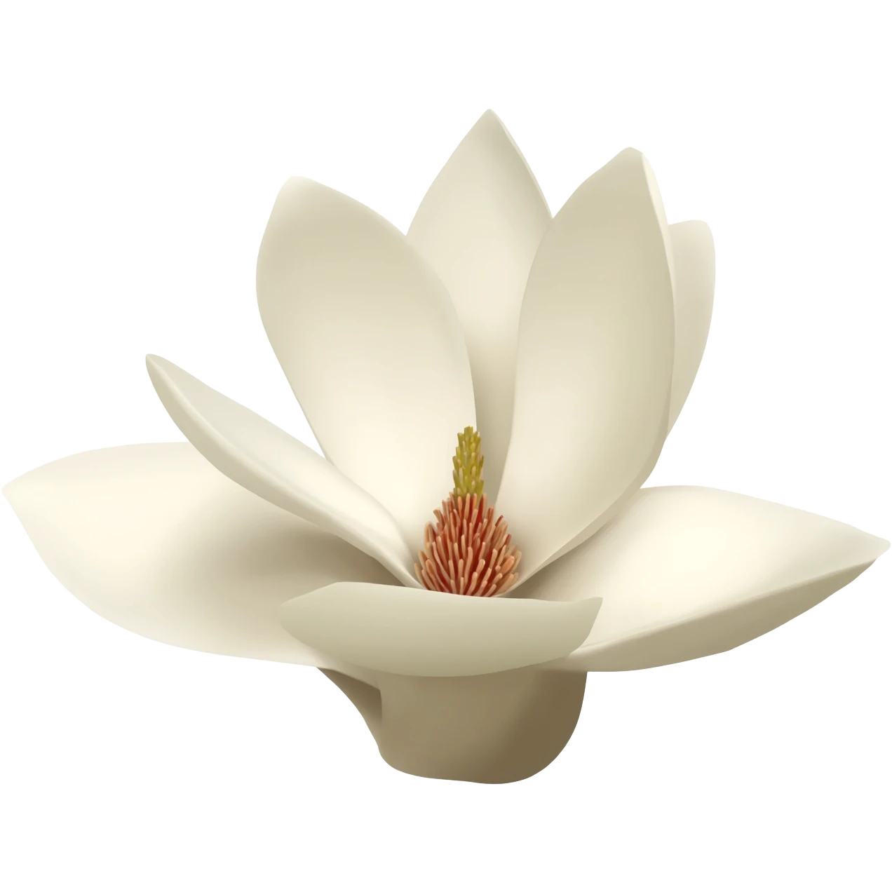 minimalist-magnolia-flower-with-soft-white-and-light-beige-petals-on-a-plain-white-background,-no-extra-details emoji
