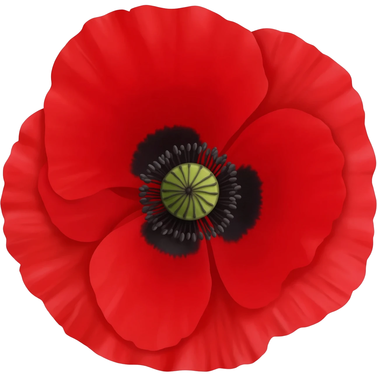 Poppy emoji