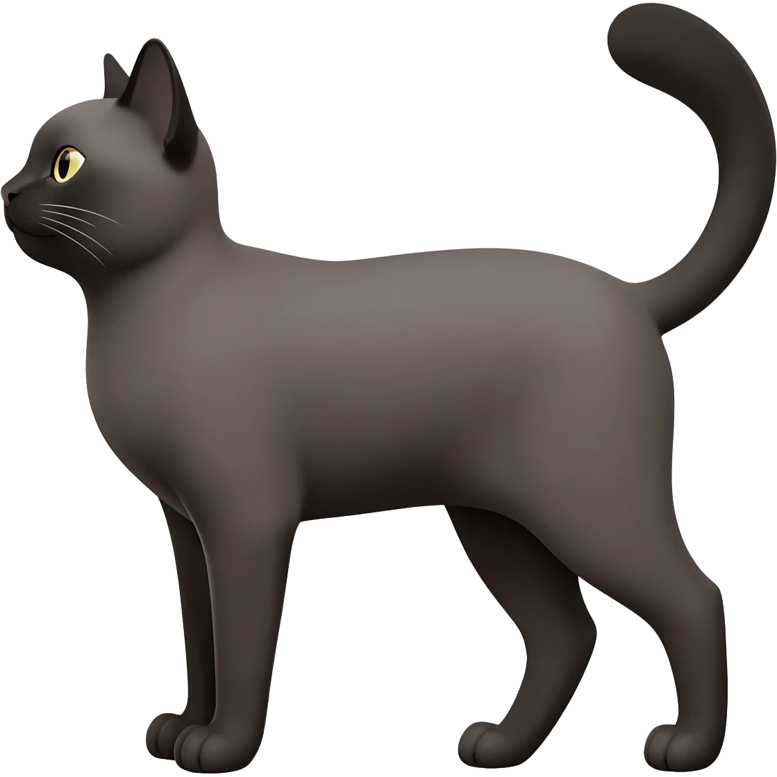 cat shows class emoji