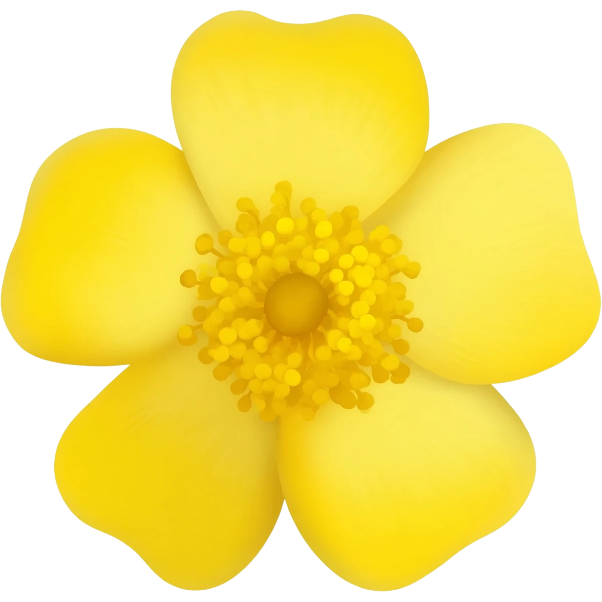 mimosa, fiore della festa della donna emoji