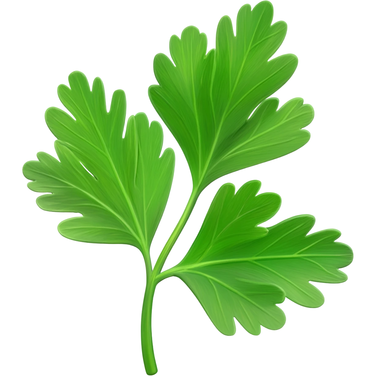 parsley emoji