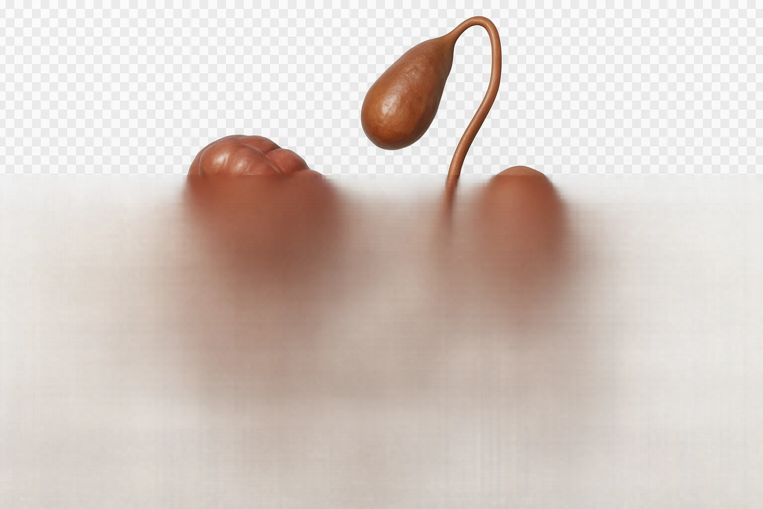 CISTIFELLEA E INTESTINO SONO COLLEGATI NEL DOLORE, SENZA SCRITTE E L'INTESTINO FALLO PERFETTO E REALISTICO, NON DISEGNATO iperrealistico 4k emoji