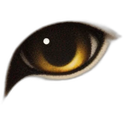 cat in the spotlight emoji