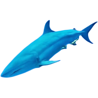 Хібукі- песик  молочно шоколадного кольору, з сумною мордочкою, довгими вушками та довгими лапками. Він друг дітей, що приїхав із Ізраїлю підтримувати тих, кому потрібна допомога, хто має травму війни. emoji