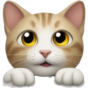 cat in the car emoji