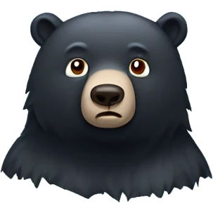 black bear who’s cold and shivering  emoji