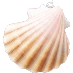 Pink and white seashell layer necklace  emoji