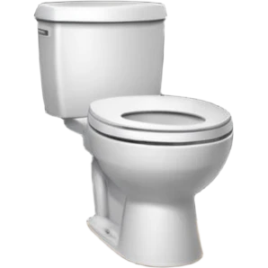 toilet front of a short door  emoji