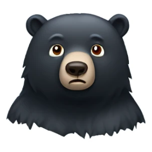 black bear who’s cold and shivering  sticker