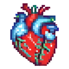 human anatomy heart sticker
