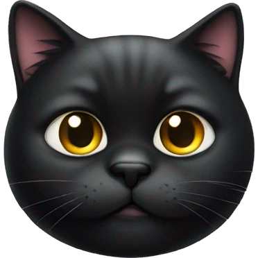 Fat black cat emoji