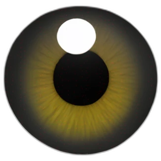 black spote with a eye emoji