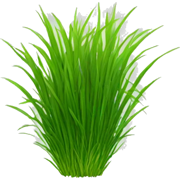 Hard and grass emoji