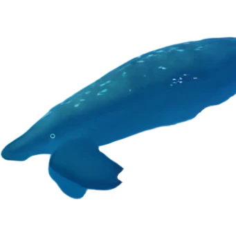 검은 머리의 소년, 옷을 입고 있는 바다를 좋아하고, 완벽을 추구하는, 귀여운, 게임을 좋아하는, 바다를 좋아하고, 바다를 좋아하고, 바다를 좋아하고, 게임을 좋아하는 emoji