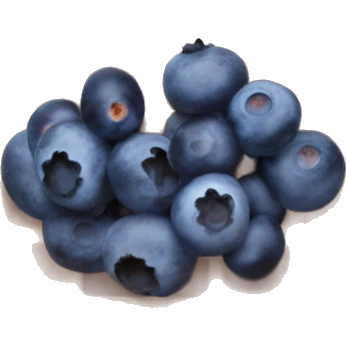 Circular Belgian waffle with blueberries emoji