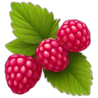 raspberry emoji