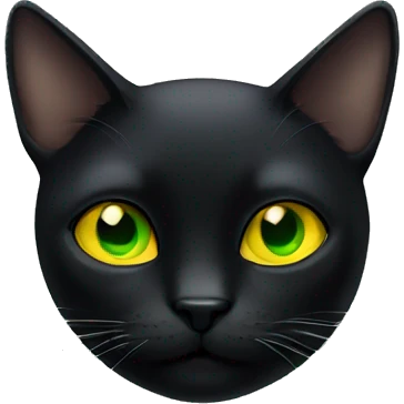 Black cat with yellow/green eyes  emoji