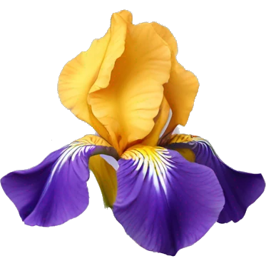 iris flower emoji