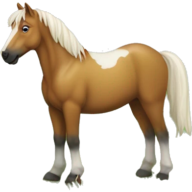 Pferd mit Hund auf dem Rücken auf einem Feld im Hohen Grass im Hintergrund ein Regenbogen  emoji