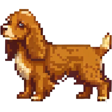 русский кокер спаниель, no background emoji