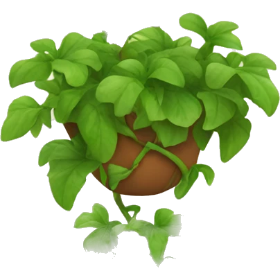 Hanging vine plant  emoji
