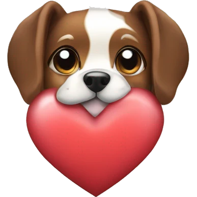 tos com a câmera dog inside heart emoji