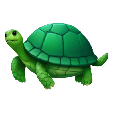 turtle on a fridge sticker