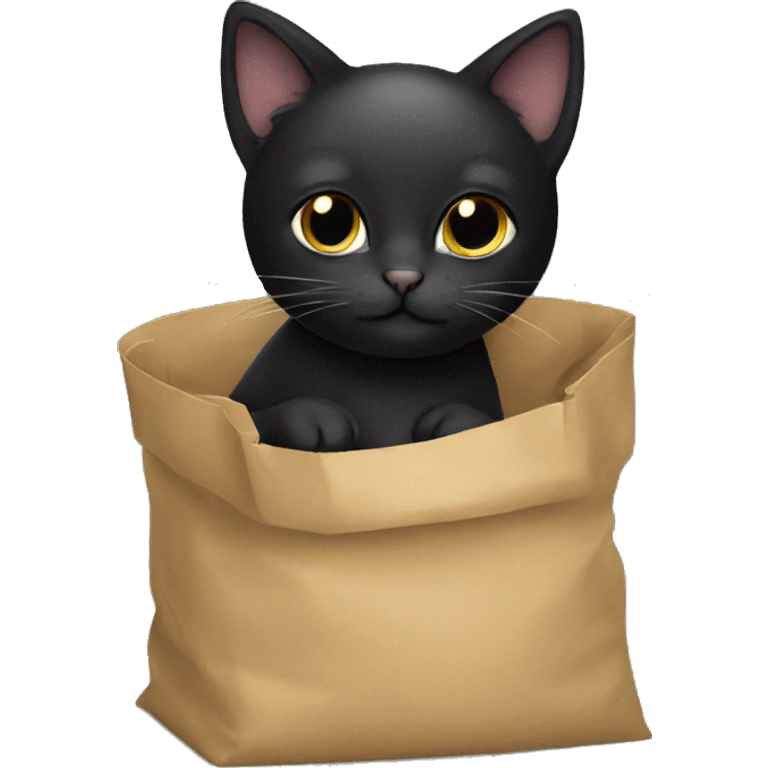 Black kitty in bag  emoji