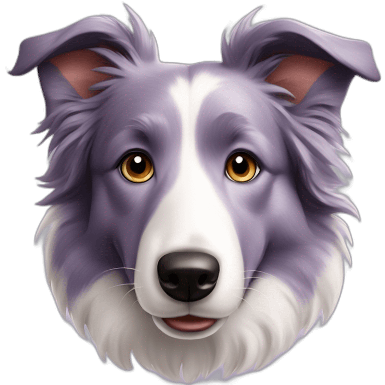 Lilac merle border collie emoji