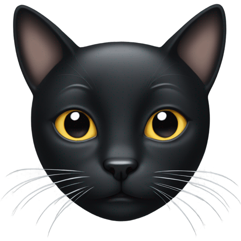 black cat with white spots  emoji