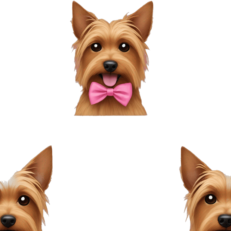 Australian terrier dog that is brown wearing a pink bow around neck emoji