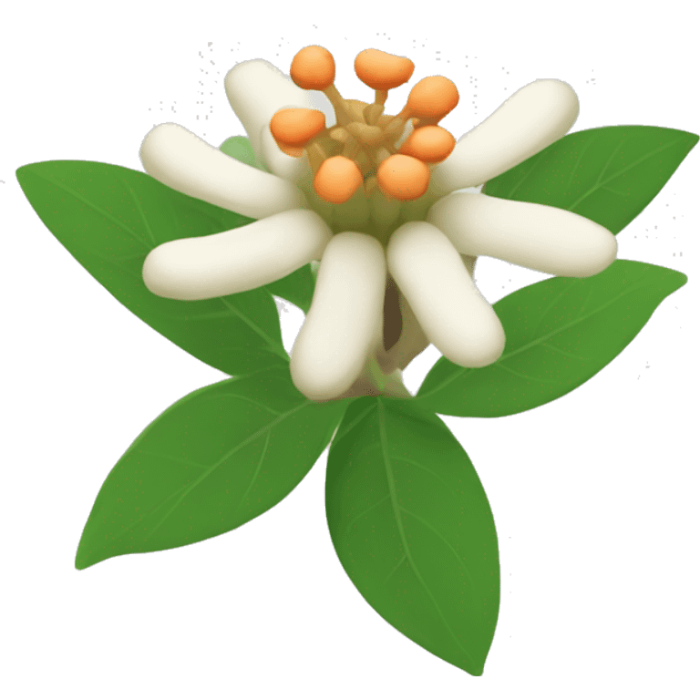 ashwagandha flower emoji