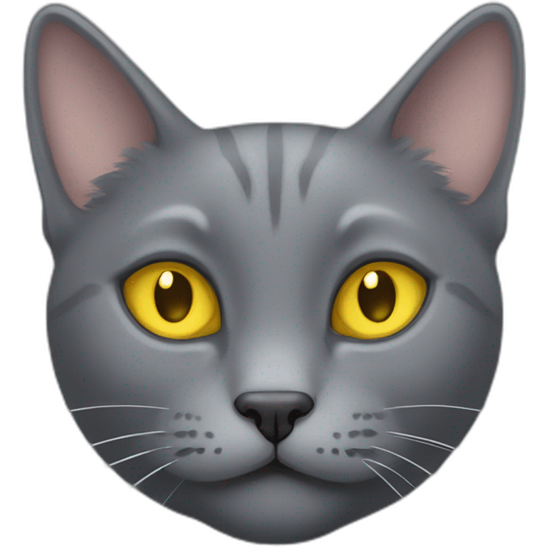 korat grey cat head little fluffy and cute smile with yellow eyes and black public emoji