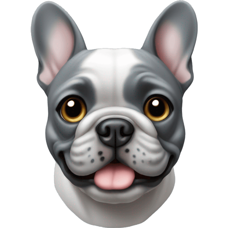 The French bulldog is completely grey with blue eyes emoji