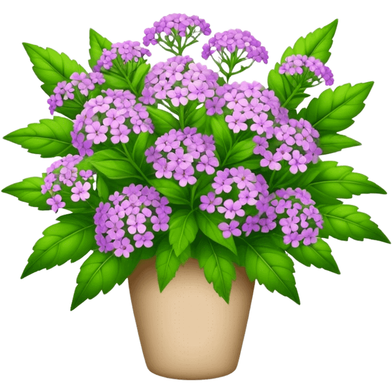 big bouquet verbena flower, leaf emoji