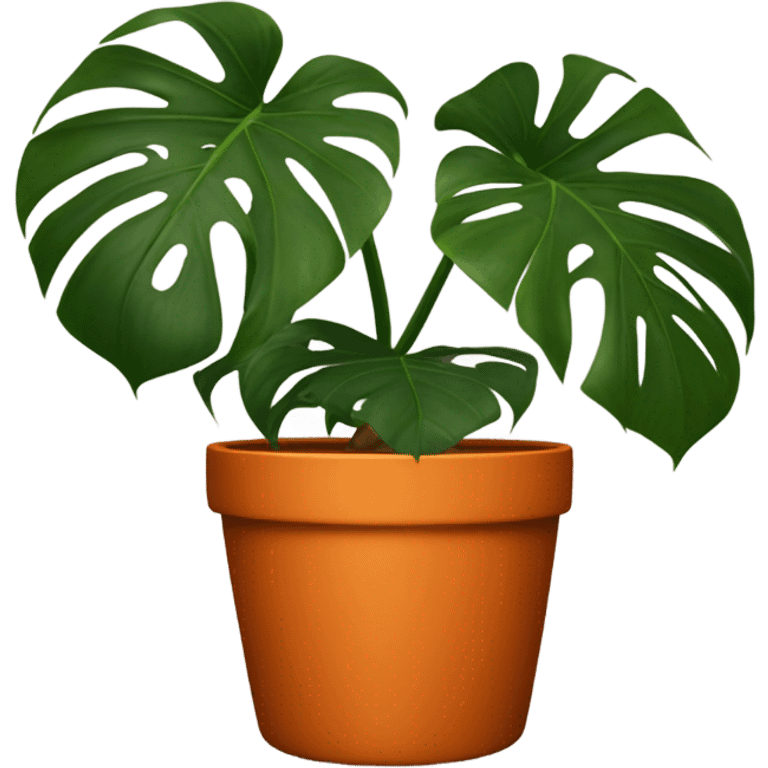 Aesthetic monstera flower in a dark orange pot  emoji