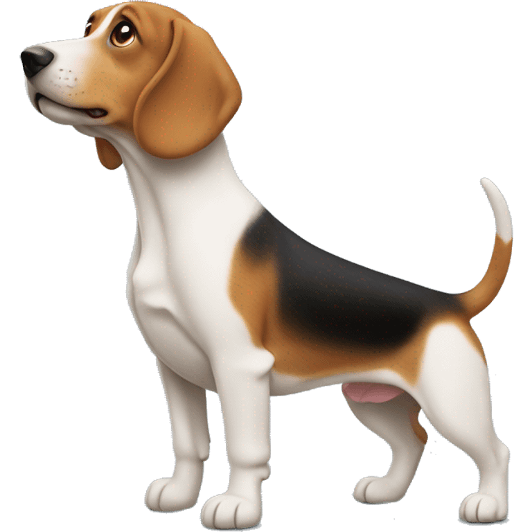 un beagle et un teckel  emoji