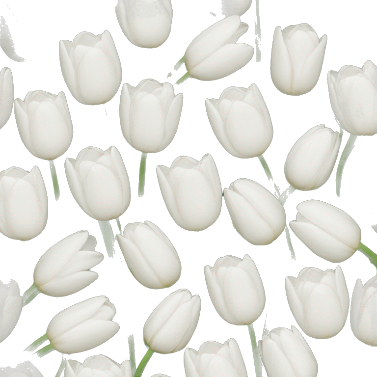 white tulipes emoji