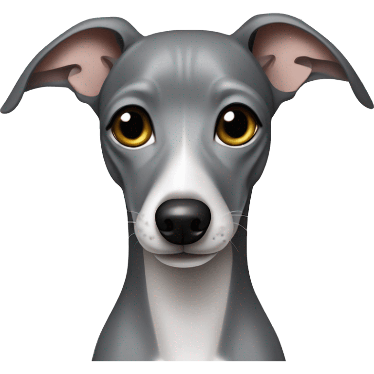 Grey Italian greyhound with bows emoji