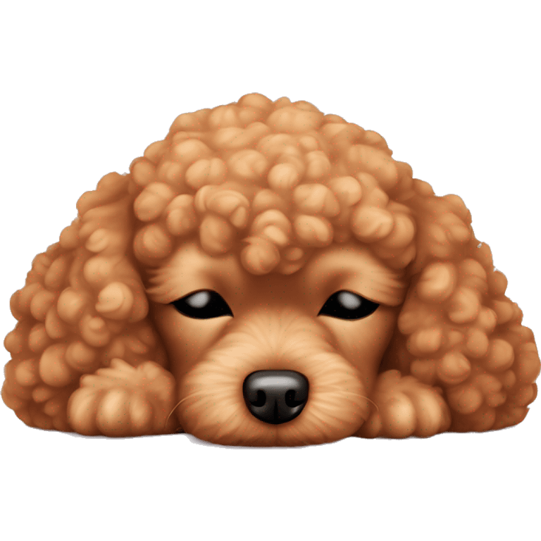 Caramel toy poodle sleeping emoji