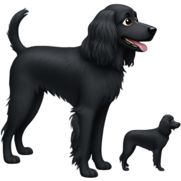 long haired all black dog looks like a muppet emoji