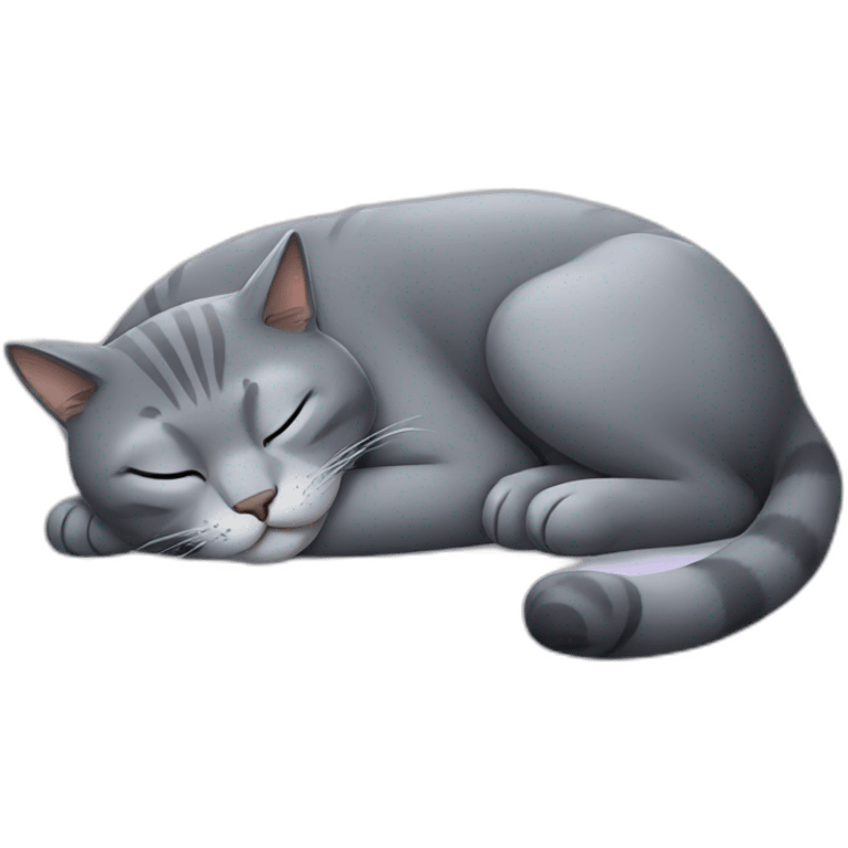 Big grey cat sleeping  emoji