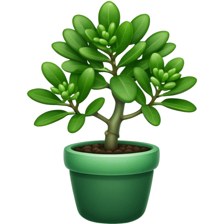 Cinematic Realistic Jade Plant Emoji, Thick and glossy, with dark green, round leaves that shine under the light. The sturdy stems and vibrant foliage give a sense of prosperity and tranquility. Soft glowing outline, capturing the essence of good luck, growth, and natural elegance in a flourishing jade plant! emoji