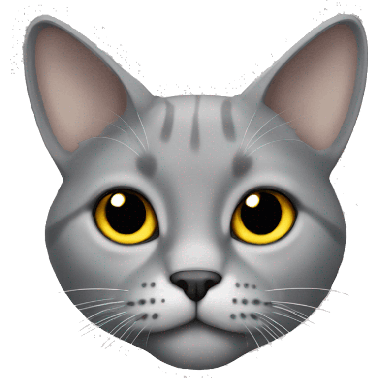 a lop-eared grey cat with a white breast and yellow eyes emoji