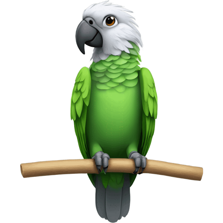 Parrot with grey feathers and a green belly  emoji