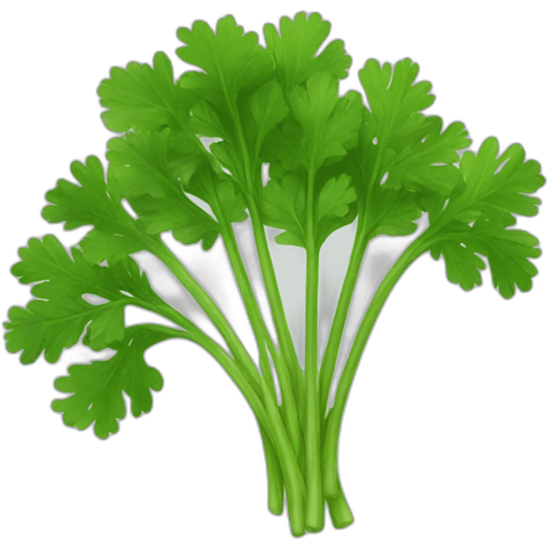 parsley emoji