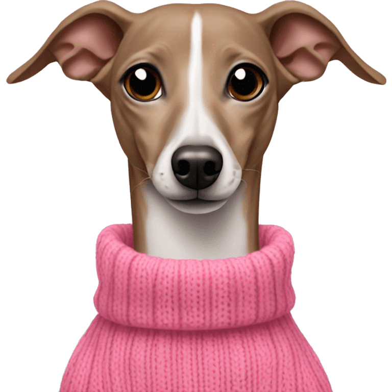 italian greyhound in a pink sweater emoji