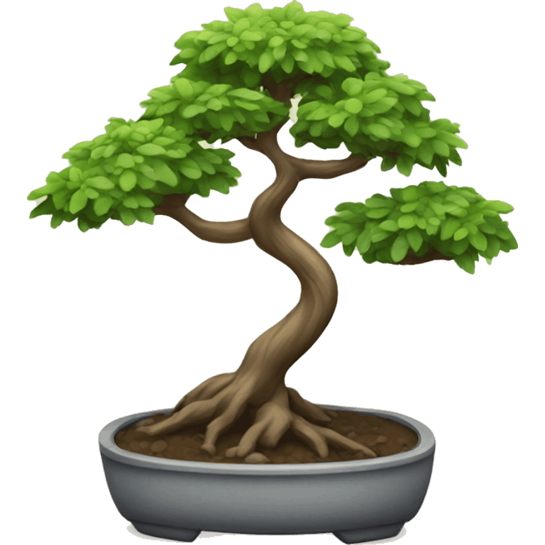 small bonsai tree emoji