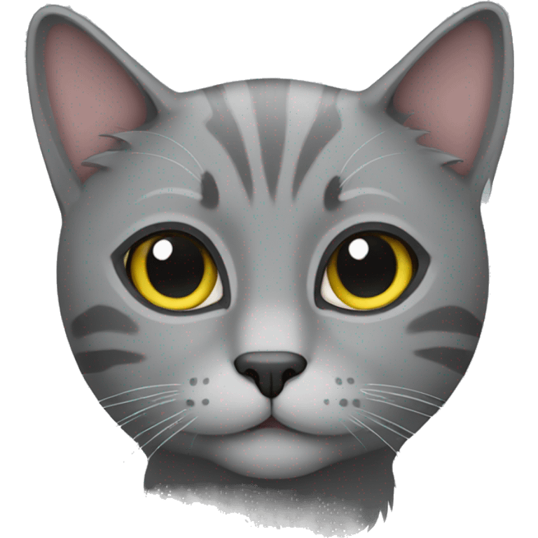 grey cat emoji