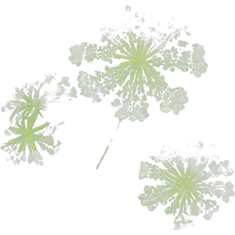 Queen Anne’s lace upclose isolated emoji